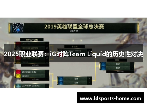 2025职业联赛：iG对阵Team Liquid的历史性对决