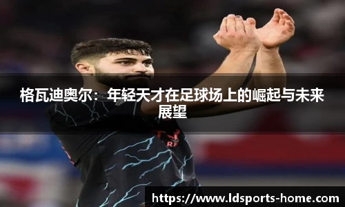 LD乐动官网